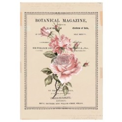 Beautiful Botanist 66,04 x 81,28cm re.design Decor Transfers
